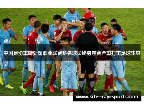 中国足协重磅处罚职业联赛多名球员终身禁赛严重打击足球生态