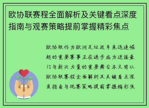 欧协联赛程全面解析及关键看点深度指南与观赛策略提前掌握精彩焦点 欧协联赛程全面解析及关键看点深度指南与观赛策略提前掌握精彩焦点